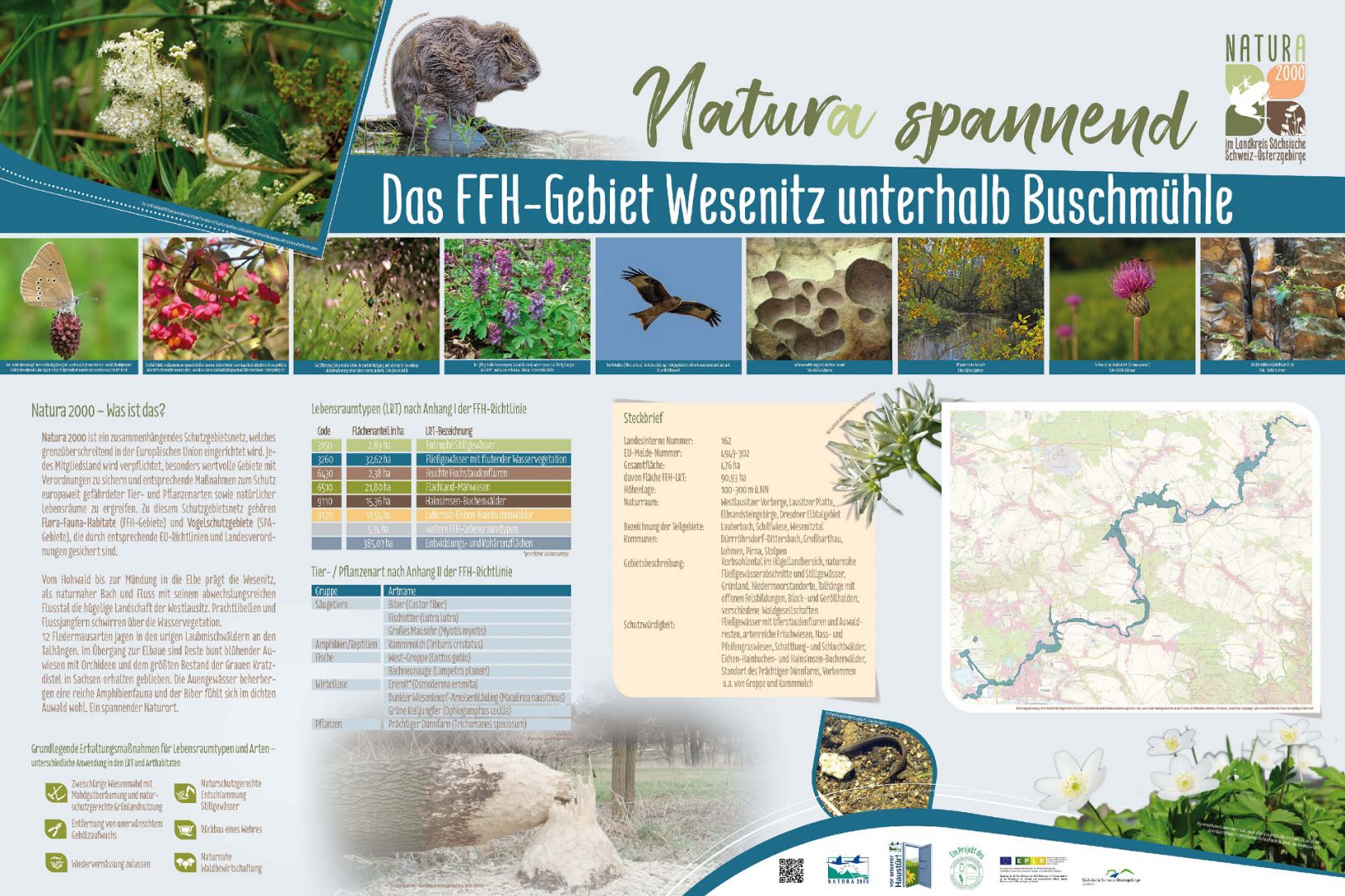 tl_files/downloads/Bilder Projekte/Projektstellen/Natura 2000 1.0/Tafeln/Tafel_Wesenitztal unterhalb Buschmuehle.jpg
